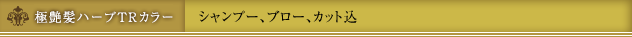 極艶髪ハーブTRカラー カラー時はカット料金￥4,200となります（シャンプー、ブロー、カット込）