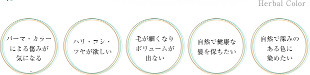 Herbal Color パーマ・カラーによる傷みが気になる ハリ・コシ・ツヤが欲しい 毛が細くなりボリュームが出ない 自然で健康な髪を保ちたい 自然で深みのある色に染めたい