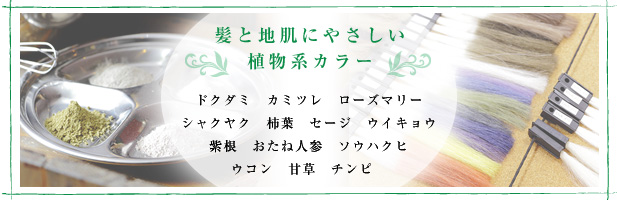 髪と地肌にやさしい植物系カラー ドクダミ　カミツレ　ローズマリー シャクヤク　柿葉　セージ　ウイキョウ 紫根　おたね人参　ソウハクヒ ウコン　甘草　チンピ