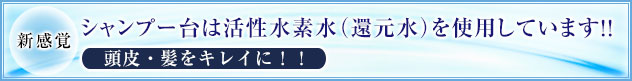 新感覚 Water Massage Shampoo ウォーターマッサージシャンプー シャンプー剤を使わない創生水シャンプー 通常のシャンプーか創生水シャンプーかをお選びいただけます