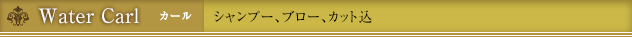 Water Carl カール シャンプー、ブロー、カット込